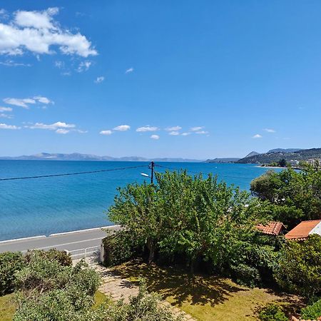 Thanos' Seaside Apartment Oropo Exterior foto